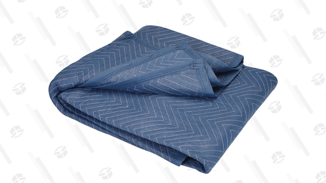 The Haul-Master Mover’s Blanket costs all of $9, and is plenty big for several people. It’s not pretty, but it does what you need a picnic blanket to do.